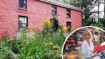 Epic 29-year cottage renovation that started with a budget of just £23