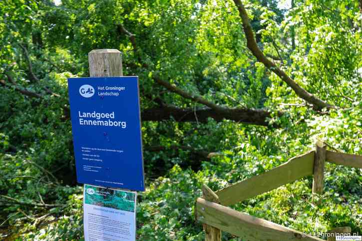 Bos rond Ennemaborg gesloten na zware stormschade