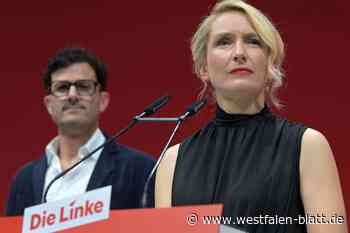 Linke Entgleisung nützt einmal mehr der AfD