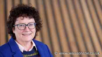 The first financial test for Wales' new Plaid Cymru government