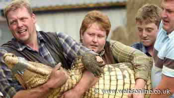 Boy allegedly thrown into crocodile enclosure as zoo owner's family 'distraught'
