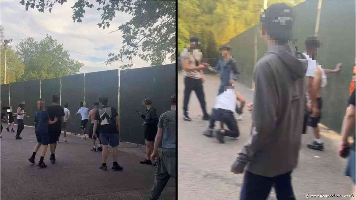 Youths try to smash their way in to Parklife festival