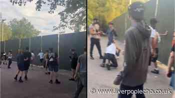 Youths try to smash their way in to Parklife festival