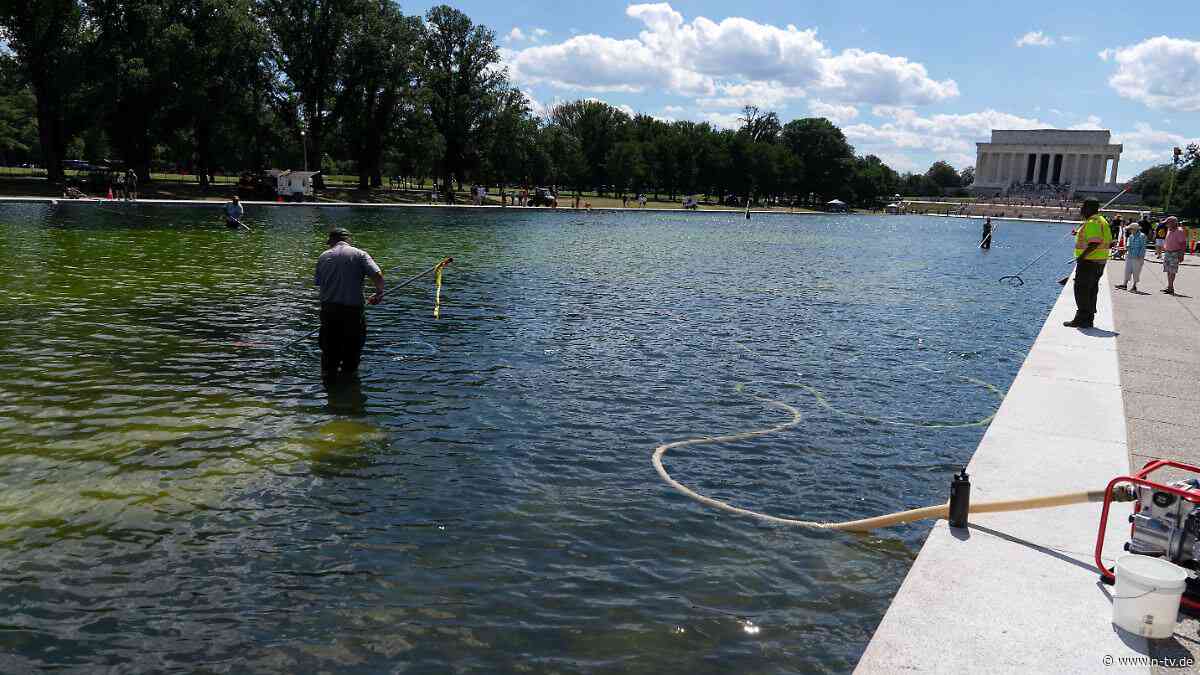 Festnahme nach Schaden: Trump macht Vandalen für grünen Pool verantwortlich