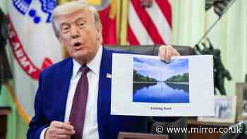 'Donald Trump's swamp green reflecting pool isn't just a funny story, it's a sign of things to come'