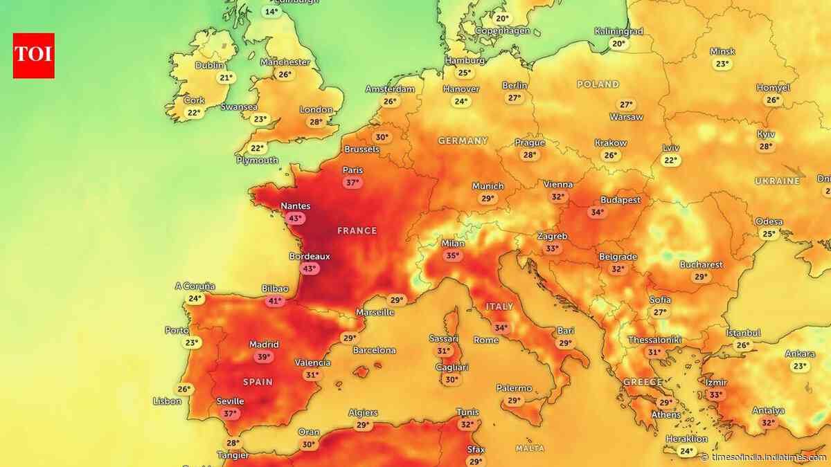 Heat dome over Europe brings travel chaos, health alerts and wildlife stress