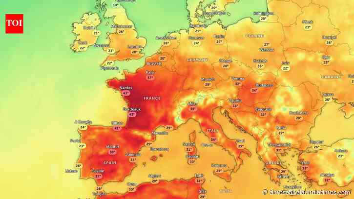 Heat dome over Europe brings travel chaos, health alerts and wildlife stress