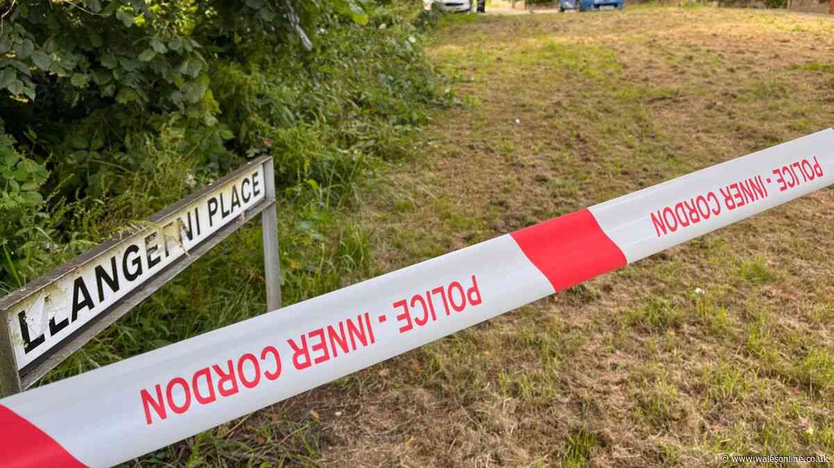 Two people in hospital after alleged assault with knife and plank of wood in Cardiff suburb