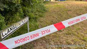Two people in hospital after alleged assault with knife and plank of wood in Cardiff suburb