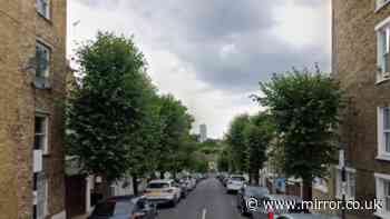 Girl and two boys aged 14 and 15 arrested after teen killed in Battersea stabbing