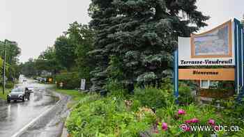 Quebec town recognizes trees as living beings with rights