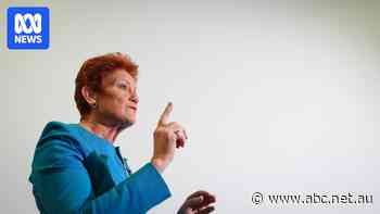 The economic environment is likely to keep favouring One Nation's message