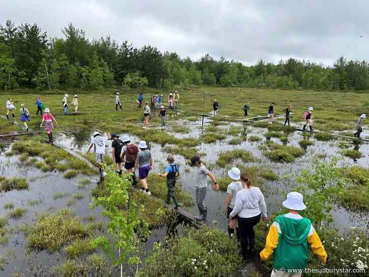 R.L. Beattie students take learning outdoors to restore Sudbury bog