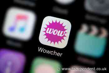 Wowcher apologises for ‘unacceptable’ crocodile email after boy’s zoo attack