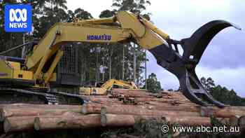 Victoria ended logging. Now it's using another state's native forests