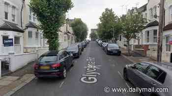 Girl and two boys are arrested on suspicion of murder after teen is stabbed to death in London: Victim is named