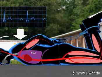 Fesselung durch die Polizei: Warum in Bauchlage der Erstickungstod droht