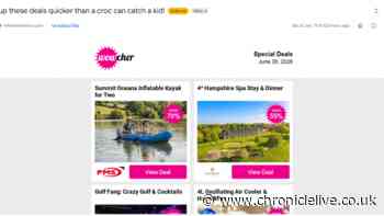 Wowcher 'extremely sorry' over ‘croc can catch a kid’ joke after child attacked at zoo