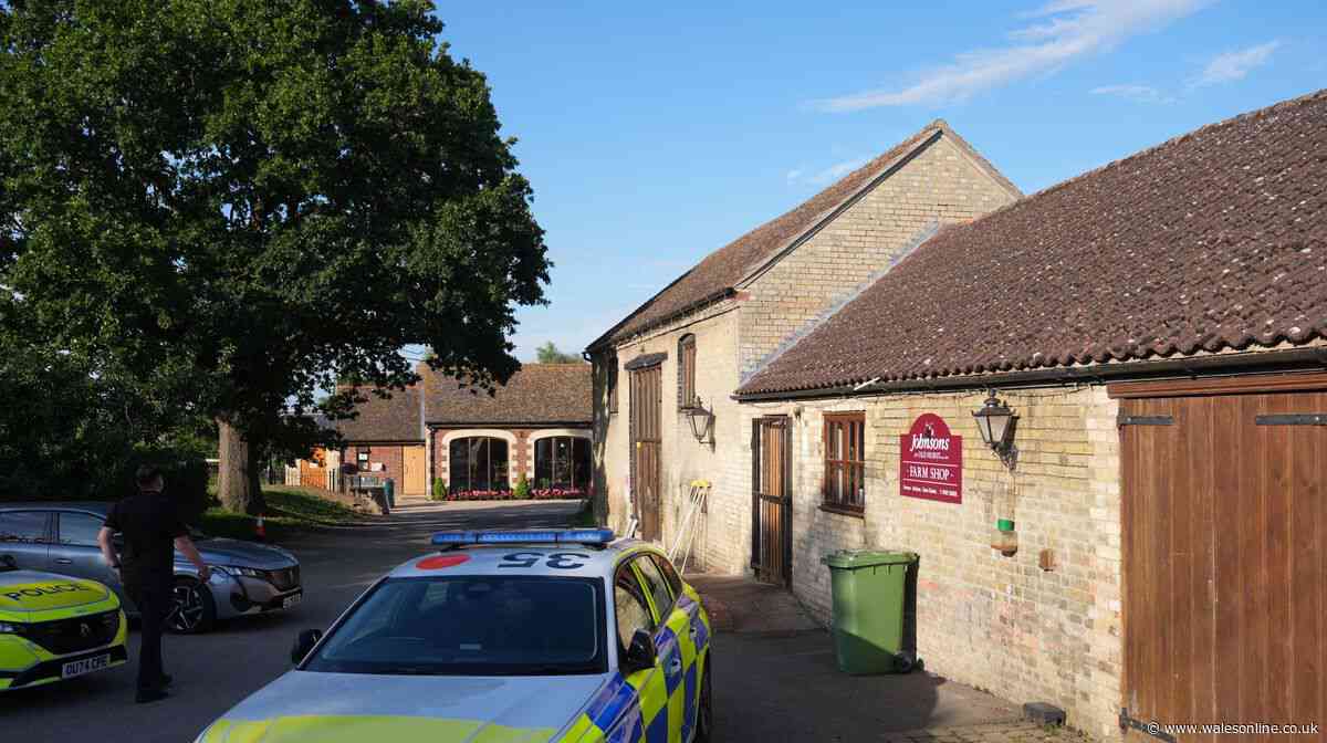 Wowcher apologises for 'unacceptable' email after boy 'thrown into crocodile pit' at zoo