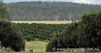 Why a $1.3b farming empire favours 'mum and dad' investors with big returns