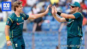 Australia posts seven-wicket T20I win over Bangladesh as Johnson stars with ball