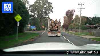 Victoria ended native forest logging. So where are these trees coming from?