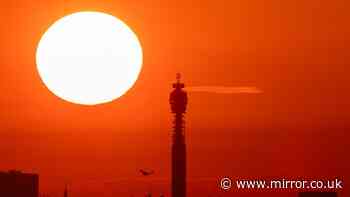 UK weather: UKHSA issues amber heat health alert as temperatures to soar to 38C