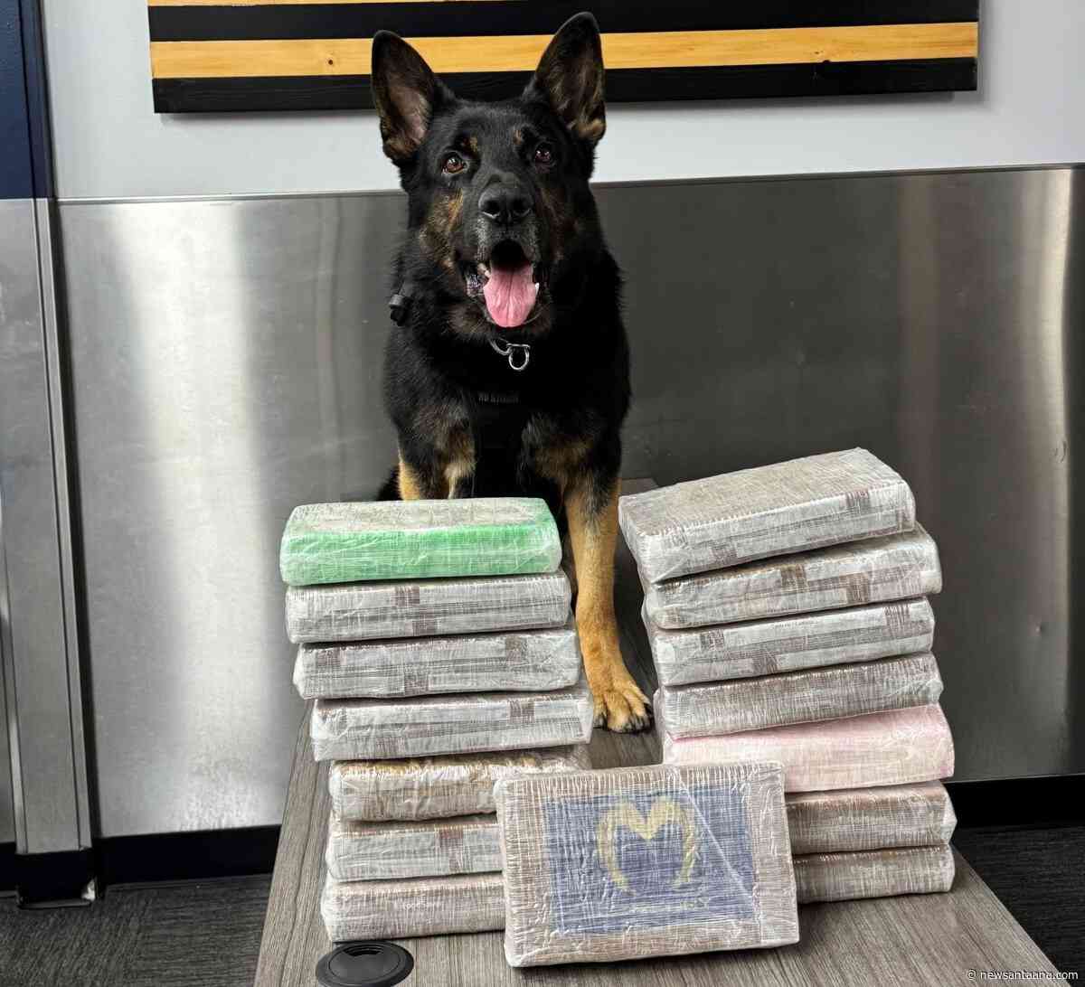 K-9 police dog makes a huge cocaine bust at a north O.C. traffic stop