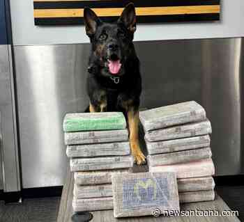 K-9 police dog makes a huge cocaine bust at a north O.C. traffic stop