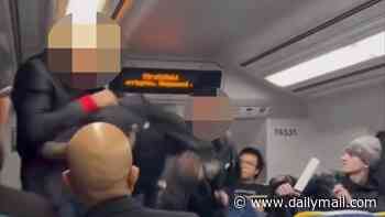 Wild Sydney train brawl breaks out between teens and a passenger after he asked them to turn down their music - as Aussies are slammed for not helping