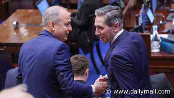 Fresh from a By-Election win, Simon Harris is riding high. Here's why viable challengers to his crown don't exist. And why all he needs to beware of is the cautionary tale of Micheál Martin...