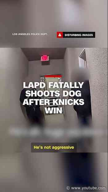 LAPD fatally shoots dog after Knicks win
