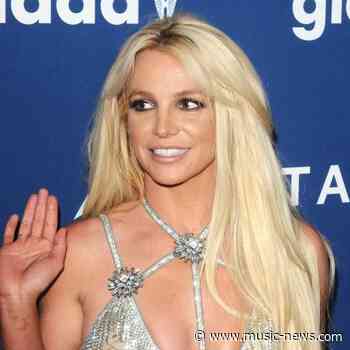 Britney Spears hopes 'one day I can have another baby'