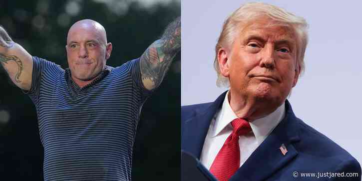 Joe Rogan Reveals Donald Trump’s Strange Response to Worries About a Terrorist Attack