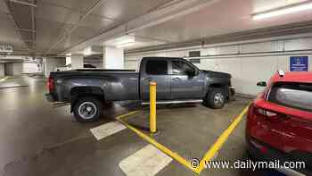 Severe punishment proposed for Aussies who buy an American-style pickup truck: 'Need less on our streets'