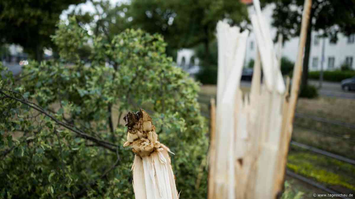 Sturmböen, Starkregen - und die Hitze drückt weiter