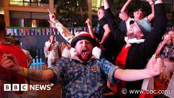 'World Cup fan zones' and 'seagull saga'