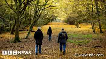 Developers can now bypass Epping council - what does this mean?