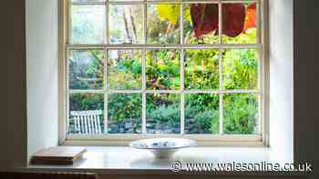 Anyone who gets hot in bed at night urged to put 1 kitchen item on windowsills this week