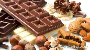 Difference between milk and dark chocolate explained
