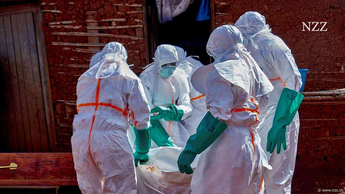 KOMMENTAR - Die Ausbrüche von Hanta und Ebola legen Schwächen in der Pandemieabwehr offen. Unsere Sicherheit ist eine Illusion