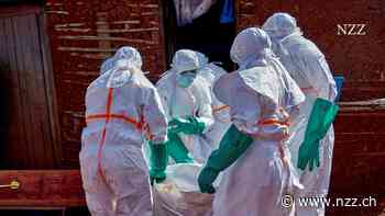 KOMMENTAR - Die Ausbrüche von Hanta und Ebola legen Schwächen in der Pandemieabwehr offen. Unsere Sicherheit ist eine Illusion
