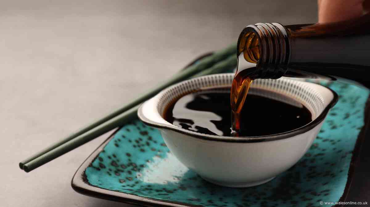 Difference between light and dark soy sauce — including how best to use them