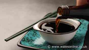 Difference between light and dark soy sauce — including how best to use them