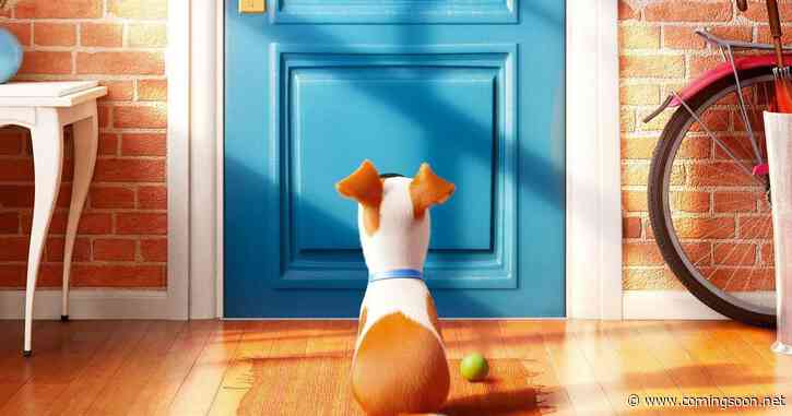 Sing 3 & Secret Life of Pets 3 Gets Fresh Updates After Years of Silence