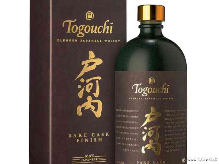 La rivoluzione giapponese di Togouchi