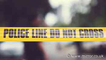 Three dead and five wounded in Philippines school shooting as suspect, 15, arrested