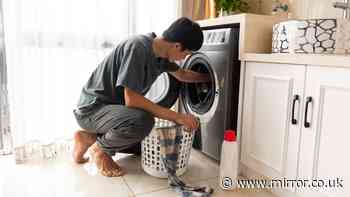 British Gas urges UK households to delay washing machine use during heatwave