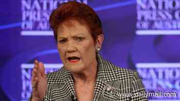 One Nation soars to new heights above Labor in latest Demos poll that shows Pauline Hanson could win up to 63 seats