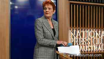PETER VAN ONSELEN: How Albo's political machine will try to destroy Pauline Hanson. She's surging - but insiders noticed a vulnerability in her National Press Club speech